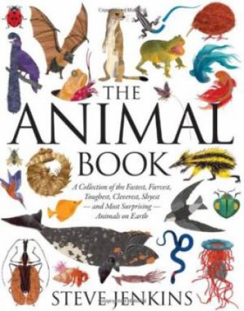 Animal Book by JENKINS STEVE