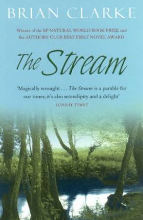 The Stream by Brian Clarke