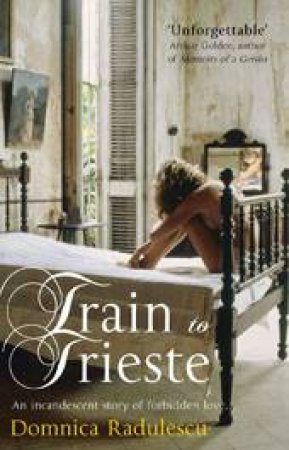 Train To Trieste by Dominica Radulescu