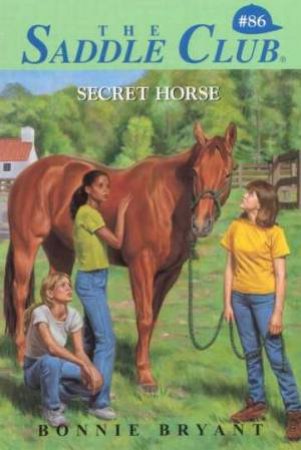 Secret Horse by Bonnie Bryant