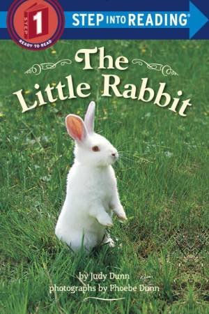 The Little Rabbit by Judy Dunn