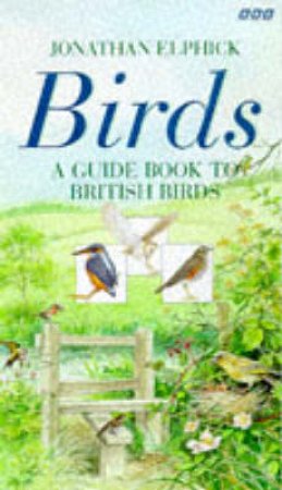 Birds: Guide Book Of British Birds by Various