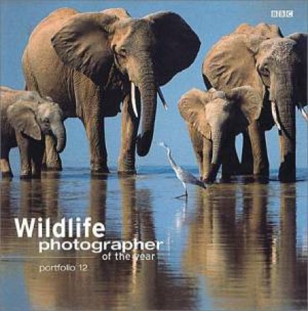 Wildlife Photographer Of The Year Portfolio 13 by Various