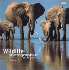 Wildlife Photographer Of The Year Portfolio 13