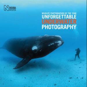 Unforgettable Underwater Photography by Rosamund Kidman Cox