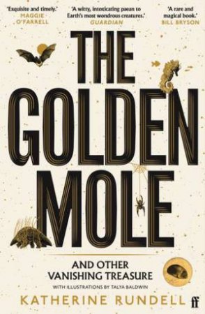 The Golden Mole by Katherine Rundell & Talya Baldwin