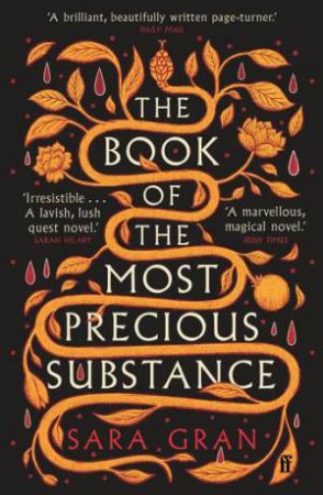 The Book of the Most Precious Substance by Sara Gran