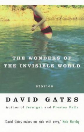 The Wonders Of The Invisible World by David Gates