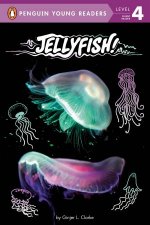 Jellyfish