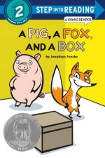 A Pig A Fox And A Box