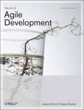 Art Of Agile Development