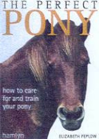 The Perfect Pony by Susan McBane