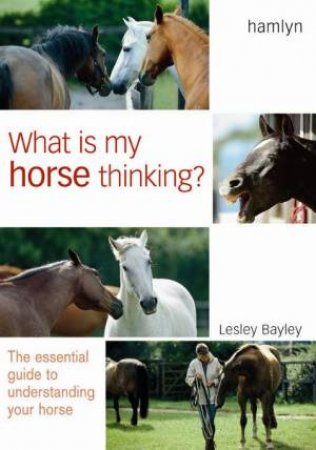 What Is My Horse Thinking? by Lesley Bayley