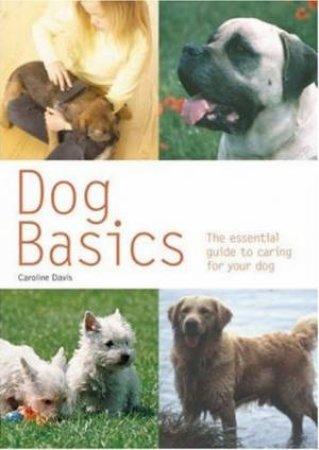 Dog Basics by Hamlyn