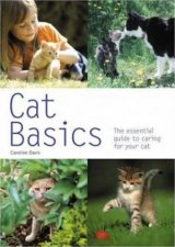 Cat Basics