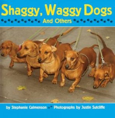 Shaggy, Waggy Dogs (and Others) by CALMENSON STEPHANIE