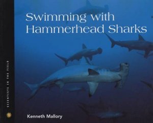 Swimming With Hammerhead Sharks by MALLORY KENNETH