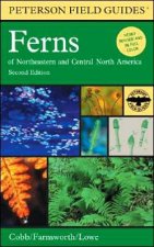 Peterson Field Guide to Ferns Second Edition