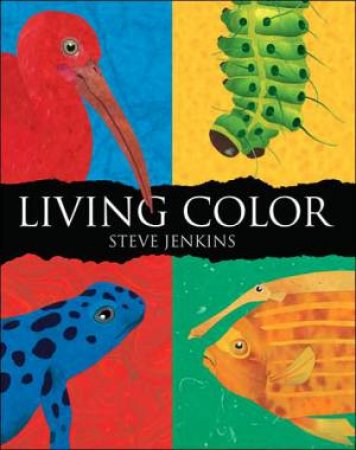 Living Color by JENKINS STEVE