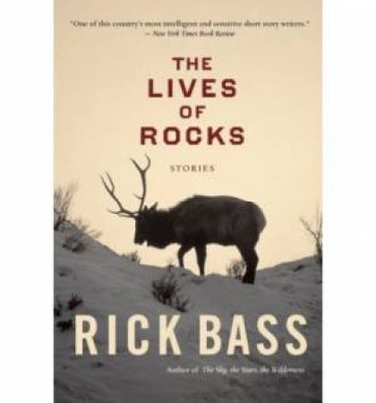 Lives of Rocks by BASS RICK