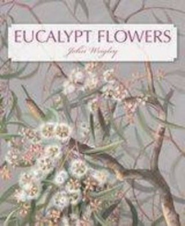 Eucalypt Flowers by John Wrigley