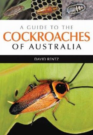 A Guide to the Cockroaches of Australia by David Rentz