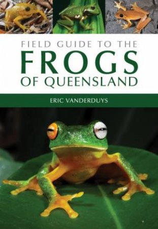 Field Guide To The Frogs Of Queensland by Eric Vanderduys