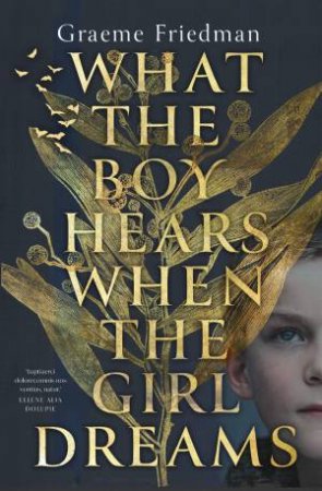 What The Boy Hears When The Girl Dreams by Graeme Friedman