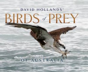 David Hollands Birds Of Prey Of Australia by David Hollands