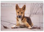 Wildlife of Australia 2021 Wall Calendar