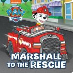 PAW Patrol Marshall To The Rescue Storyboard