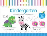 Little Genius Vol 2  Mega Activity Pad  Kindergarten