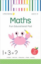 Little Genius Small Activity Pad  Maths Vol 2