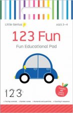 Little Genius Small Activity Pad  123 Fun Vol 2