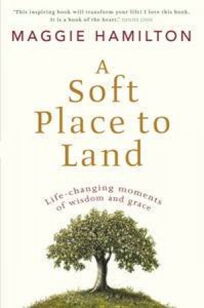 A Soft Place To Land by Maggie Hamilton