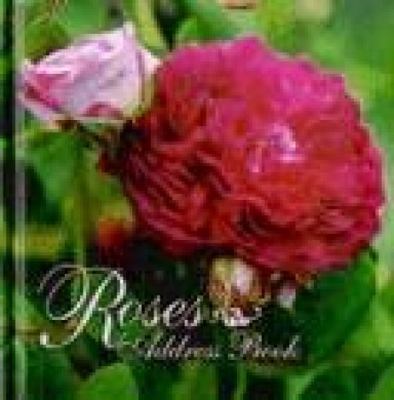 Address Book - Roses by Roses