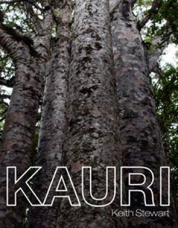 Kauri by Keith Stewart