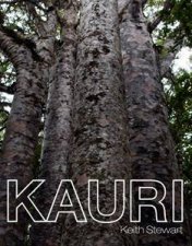 Kauri