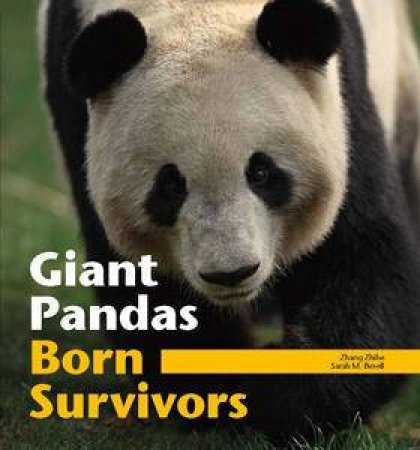 Giant Pandas: Born Survivors by Zhang Zhihe & Sarah M. Bexell