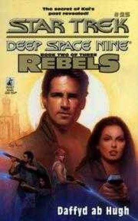 Rebels Trilogy Book 2 by Daffyd ab Hugh