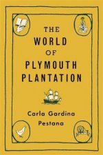 The World Of Plymouth Plantation