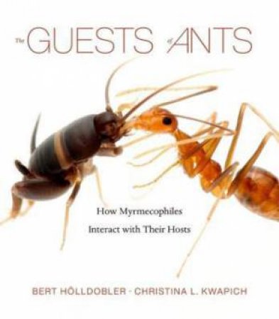 The Guests Of Ants by Bert Holldobler & Christina L. Kwapich