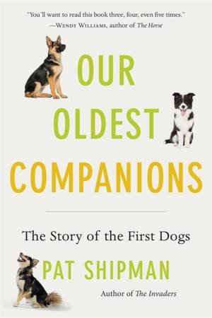 Our Oldest Companions by Pat Shipman