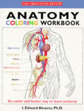 Anatomy Coloring Workbook by Edward Alcamo