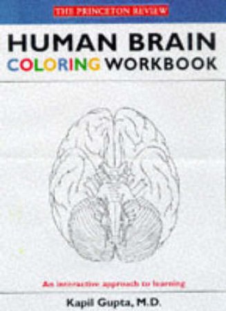 Human Brain Coloring Workbook by Kapil Gupta