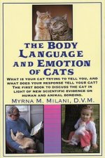 The Body Language And Emotions Of Cats