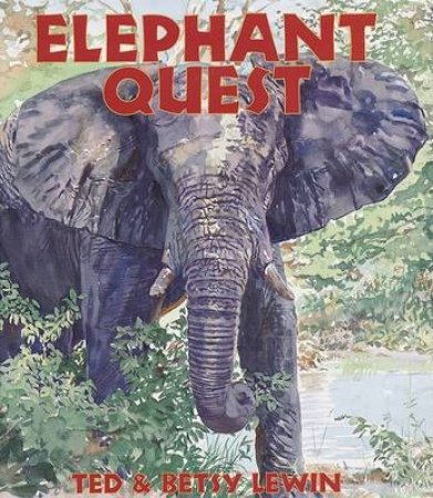 Elephant Quest by Ted & Betsy Lewin