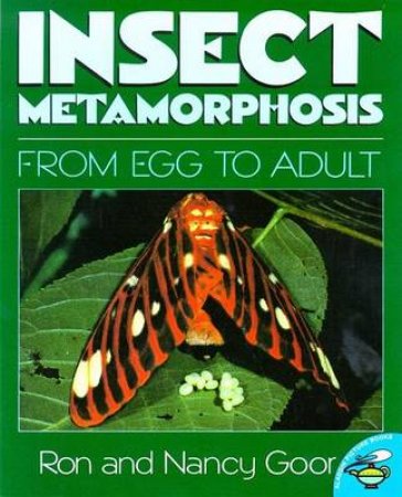 Insect Metamorphosis by Nancy Goor