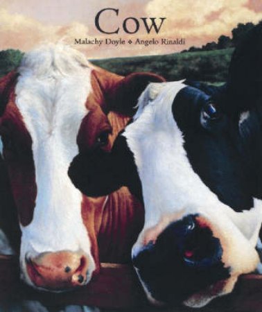 Cow by Malachy Doyle & Angelo Rinaldi