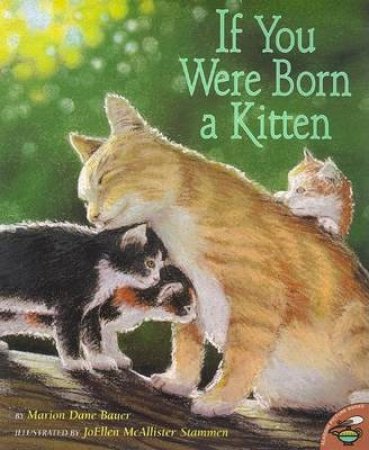 If You Were Born A Kitten by Marion Dane Bauer